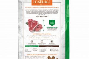 Best Instinct Lamb Dog Food: Reviews & Benefits for Dogs | World’s Most Delicious Foods: Must-Try Dishes from Every Country