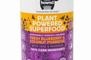 Best Vegan Wet Dog Food: Healthy & Delicious | World’s Most Delicious Foods: Must-Try Dishes from Every Country