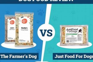 Best Fresh Dog Food: Farmer's Dog vs Just Food For Dogs Guide | World’s Most Delicious Foods: Must-Try Dishes from Every Country