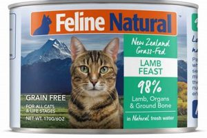 Is Feline Natural Canned Cat Food Right For Your Cat? Guide | World’s Most Delicious Foods: Must-Try Dishes from Every Country