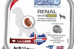 Support Kidney Health: Forza10 Renal Actiwet for Dogs World’s Most Delicious Foods: Must-Try Dishes from Every Country Support Kidney Health: Forza10 Renal Actiwet for Dogs | World’s Most Delicious Foods: Must-Try Dishes from Every Country