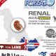 Support Kidney Health: Forza10 Renal Actiwet for Dogs | World’s Most Delicious Foods: Must-Try Dishes from Every Country