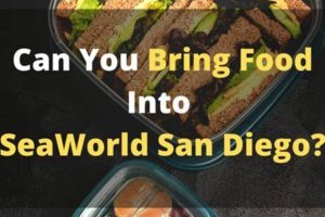 SeaWorld Food Policy: Can *You* Bring Food To SeaWorld? Guide | World’s Most Delicious Foods: Must-Try Dishes from Every Country