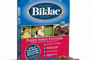 Best Bil Jac Puppy Food: Fueling Growth & Health | World’s Most Delicious Foods: Must-Try Dishes from Every Country