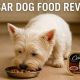Cesar Dog Food: Is It Good for Dogs? [Review] | World’s Most Delicious Foods: Must-Try Dishes from Every Country