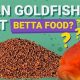 [FAQ] Can I Feed Goldfish Betta Food? Risks &amp; Tips | World’s Most Delicious Foods: Must-Try Dishes from Every Country