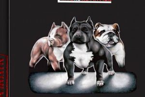 Maximize Your Bully: Top Dog Food Choices & Beyond | World’s Most Delicious Foods: Must-Try Dishes from Every Country