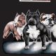 Maximize Your Bully: Top Dog Food Choices & Beyond | World’s Most Delicious Foods: Must-Try Dishes from Every Country