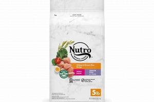 Is Nutro Dog Food Making Dogs Sick? + Solutions | World’s Most Delicious Foods: Must-Try Dishes from Every Country
