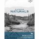 Best Diamond Naturals Wet Dog Food: Reviews & Benefits | World’s Most Delicious Foods: Must-Try Dishes from Every Country