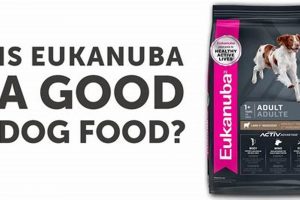 Eukanuba Dog Food Reviews: Is It Right For Your Dog? | World’s Most Delicious Foods: Must-Try Dishes from Every Country
