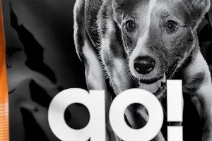 Is Go! Solutions Dog Food Good? A Complete Review + Rating | World’s Most Delicious Foods: Must-Try Dishes from Every Country