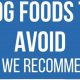 Avoid the Worst Dry Dog Food: How to Choose | World’s Most Delicious Foods: Must-Try Dishes from Every Country