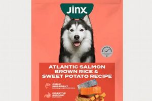 Jinx Dog Food Recalls: What Every Dog Owner Needs to Know | World’s Most Delicious Foods: Must-Try Dishes from Every Country