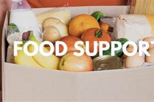 Diet: Which Food Groups Support Your Body Best? Guide World’s Most Delicious Foods: Must-Try Dishes from Every Country Diet: Which Food Groups Support Your Body Best? Guide | World’s Most Delicious Foods: Must-Try Dishes from Every Country