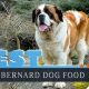 Best St Bernard Dog Food: Diet & Nutrition Guide | World’s Most Delicious Foods: Must-Try Dishes from Every Country