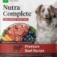 Best Nutra Complete Dog Food Price Guide: Deals & Savings! | World’s Most Delicious Foods: Must-Try Dishes from Every Country