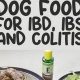 DIY IBD Dog Food: Recipes & Tips for Homemade Relief | World’s Most Delicious Foods: Must-Try Dishes from Every Country