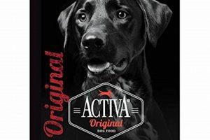 Best Activa Dog Food: Nourish Your Dog's Life! | World’s Most Delicious Foods: Must-Try Dishes from Every Country