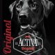 Best Activa Dog Food: Nourish Your Dog's Life! | World’s Most Delicious Foods: Must-Try Dishes from Every Country