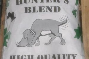 Fueling the Hunt: Best Hunters Blend Dog Food for Active Dogs | World’s Most Delicious Foods: Must-Try Dishes from Every Country