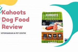 Kahoots Dog Food: The Best Food for Your Pet? World’s Most Delicious Foods: Must-Try Dishes from Every Country Kahoots Dog Food: The Best Food for Your Pet? | World’s Most Delicious Foods: Must-Try Dishes from Every Country
