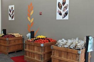 Support Northside Food Pantry: Fight Hunger Locally! | World’s Most Delicious Foods: Must-Try Dishes from Every Country