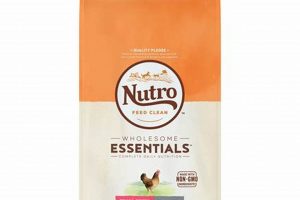 Nutro: Best Small Breed Dog Food [Expert Tips] | World’s Most Delicious Foods: Must-Try Dishes from Every Country