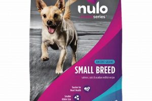 Best Nulo Small Breed Dog Food: Fuel Your Tiny Pup! | World’s Most Delicious Foods: Must-Try Dishes from Every Country