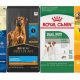 Ella's Best Dinner Dog Food: The Dinner Dogs Love! | World’s Most Delicious Foods: Must-Try Dishes from Every Country