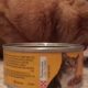 Easy Cat Canned Food Transition: How to Get Your Cat to Eat Canned Food! | World’s Most Delicious Foods: Must-Try Dishes from Every Country
