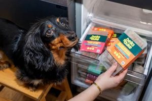 Best Freezer Dog Food: Healthy, Raw & Frozen Dog Diets | World’s Most Delicious Foods: Must-Try Dishes from Every Country