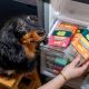 Best Freezer Dog Food: Healthy, Raw & Frozen Dog Diets | World’s Most Delicious Foods: Must-Try Dishes from Every Country