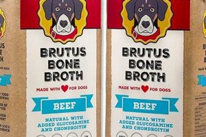 Dog Food Broth: Healthy, Tasty & Easy Recipes | World’s Most Delicious Foods: Must-Try Dishes from Every Country