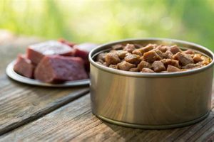 Does Canned Dog Food Go Bad? How to Tell & Prevent | World’s Most Delicious Foods: Must-Try Dishes from Every Country