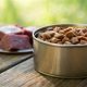 Does Canned Dog Food Go Bad? How to Tell & Prevent | World’s Most Delicious Foods: Must-Try Dishes from Every Country