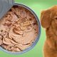 Tuna Dog Food Secrets: Is Tuna Right for Your Dog? | World’s Most Delicious Foods: Must-Try Dishes from Every Country