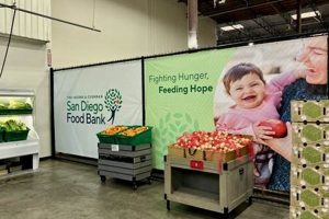 Your Local San Angelo Food Pantry: Fight Hunger Together | World’s Most Delicious Foods: Must-Try Dishes from Every Country