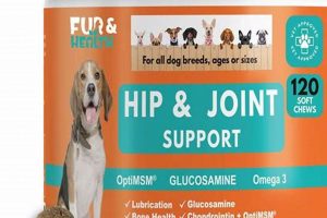 Best Hip & Joint Dog Food: Boost Your Dog's Mobility! | World’s Most Delicious Foods: Must-Try Dishes from Every Country