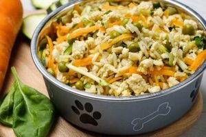 Easy Vegan Dog Food Recipes: Your Dog Will Love! | World’s Most Delicious Foods: Must-Try Dishes from Every Country