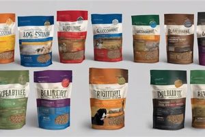 Best Dog Food Big Brands: Your Complete Guide | World’s Most Delicious Foods: Must-Try Dishes from Every Country