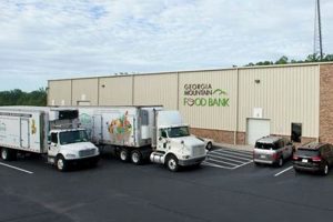Find Local Food Pantries in Gainesville, GA: Guide | World’s Most Delicious Foods: Must-Try Dishes from Every Country