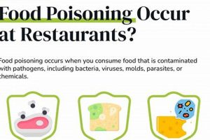 Food Poisoning Law: Can You Sue a Restaurant? | World’s Most Delicious Foods: Must-Try Dishes from Every Country