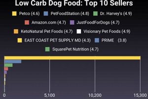 Guide to Lowest Carb Dog Food Brands + Recipes | World’s Most Delicious Foods: Must-Try Dishes from Every Country