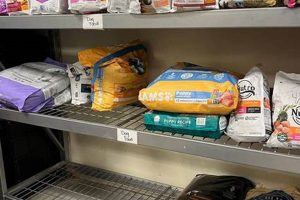 Your Local Food Pantry Lynchburg VA: Find Food Support | World’s Most Delicious Foods: Must-Try Dishes from Every Country