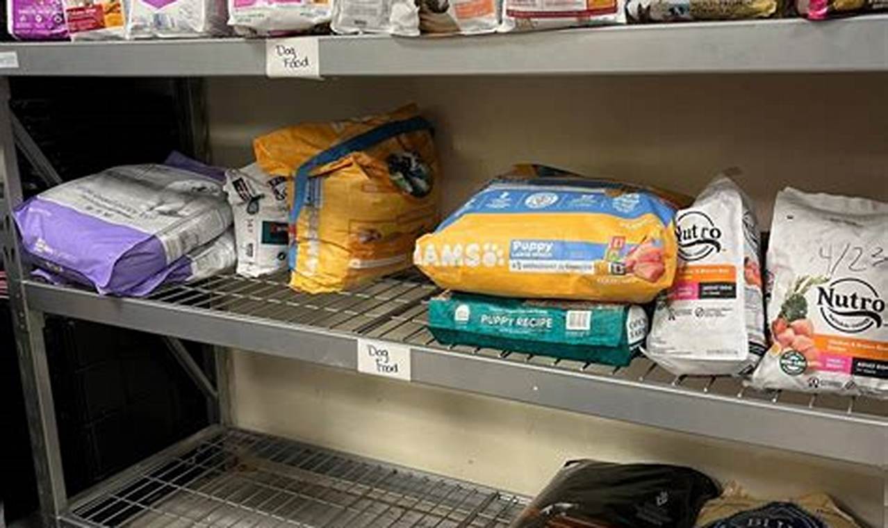 Your Local Food Pantry Lynchburg VA: Find Food Support | World’s Most Delicious Foods: Must-Try Dishes from Every Country