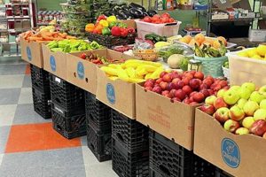 Find a Top Food Pantry Middletown NY Near You World’s Most Delicious Foods: Must-Try Dishes from Every Country Find a Top Food Pantry Middletown NY Near You | World’s Most Delicious Foods: Must-Try Dishes from Every Country