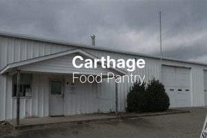 Support Carthage Food Pantry: Fight Hunger Locally World’s Most Delicious Foods: Must-Try Dishes from Every Country Support Carthage Food Pantry: Fight Hunger Locally | World’s Most Delicious Foods: Must-Try Dishes from Every Country