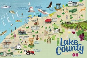 Find Food: Lake County Ohio Food Banks Near You | World’s Most Delicious Foods: Must-Try Dishes from Every Country