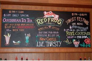 Red Frog Pub Menu 2024: Food, Deals & More! | World’s Most Delicious Foods: Must-Try Dishes from Every Country